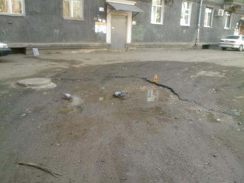 Название: sib_part-20.jpg
Просмотров: 301

Размер: 25.9 Кб