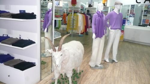 Название: Cashmere_Factory_Gobi_33.jpg
Просмотров: 13105

Размер: 24.4 Кб